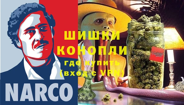 шишки Беломорск