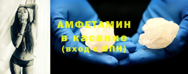 шишки Беломорск