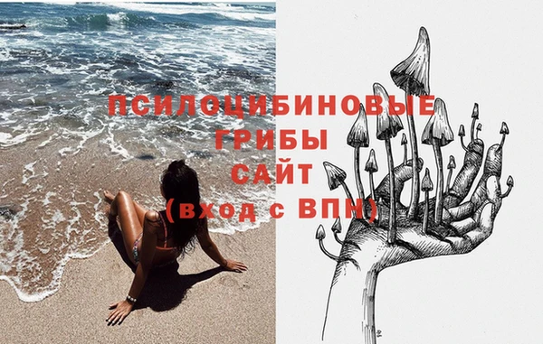 скорость Белокуриха