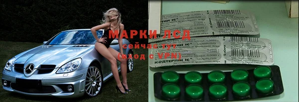 ПСИЛОЦИБИНОВЫЕ ГРИБЫ Белоозёрский